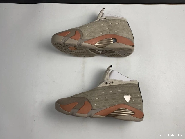 AIR Jordan Low DC9857-200 14 Clot Retro Terra Blush 0820